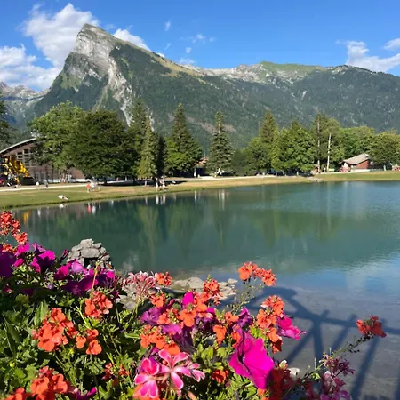 Confortable Dans Résidence Avec Piscine Appartement Samoëns