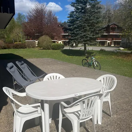 Confortable Dans Résidence Avec Piscine Appartement Samoëns