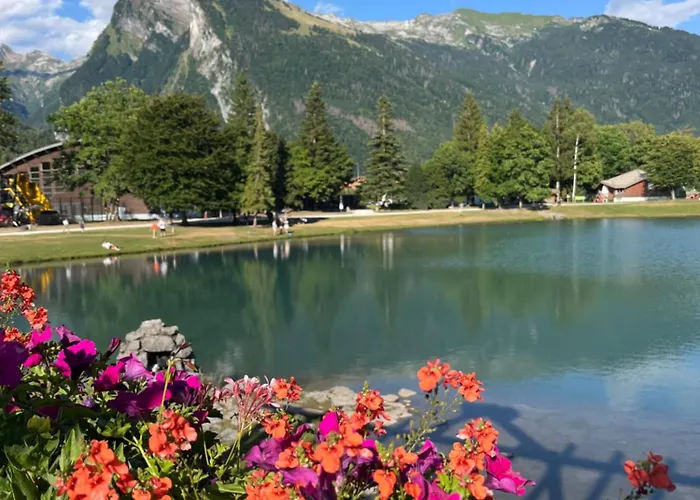 Confortable Dans Résidence Avec Piscine Appartement Samoëns